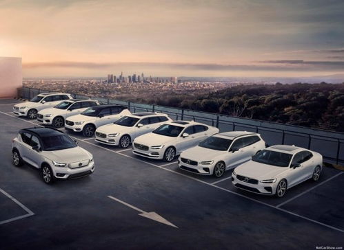 沃爾沃11月銷量增長24.5%，庫存深度不足一個月再創新紀錄